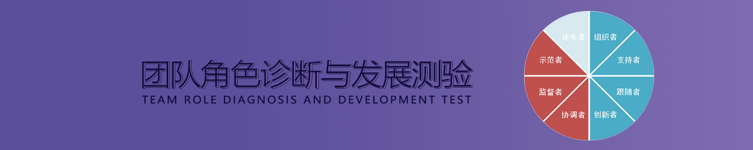 团队角色诊断与发展测验