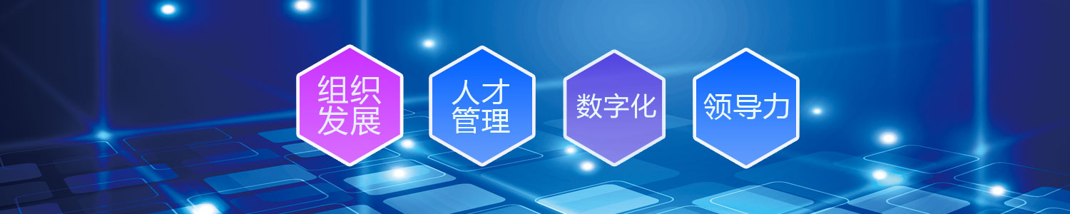 MTS人才管理研究