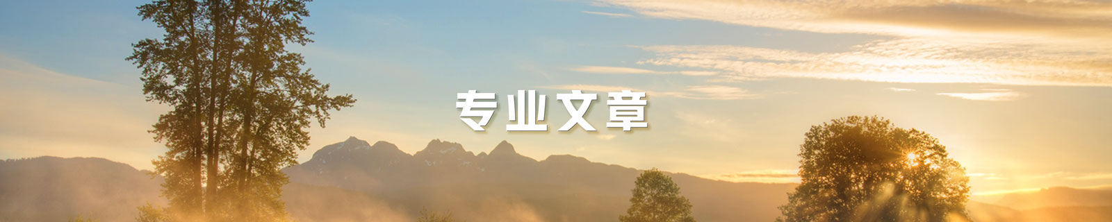 专业文章